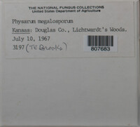 Image Associated With the Occurence